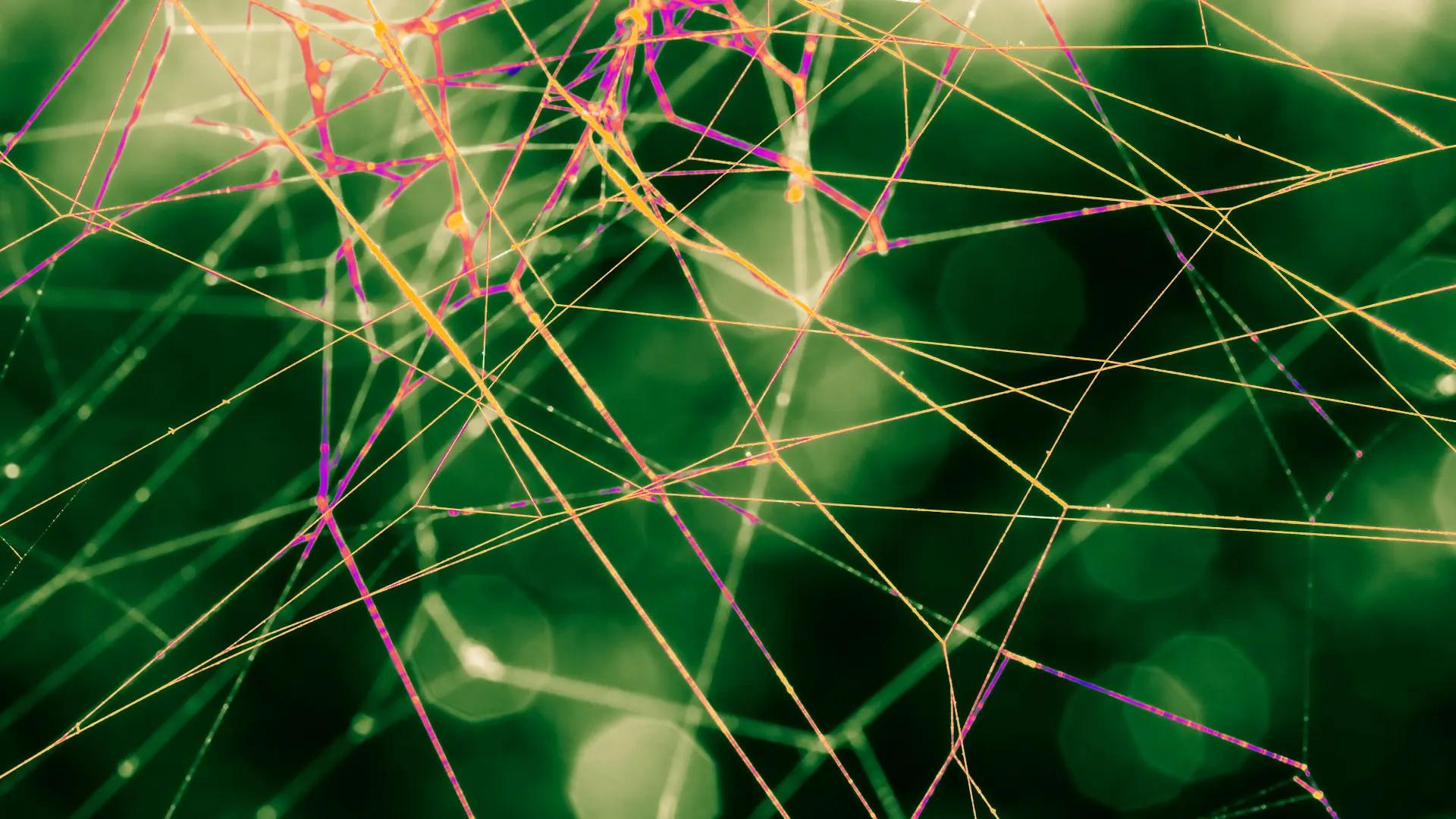 Eco-conception web : “Les bons deviennent meilleurs, les mauvais empirent”