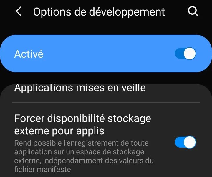 Activation dans les options développeurs : Forcer disponibilité stockage externe pour applis Rend possible l'enregistrement de toute application sur un espace de stockage externe, indépendamment des valeurs du fichier manifeste