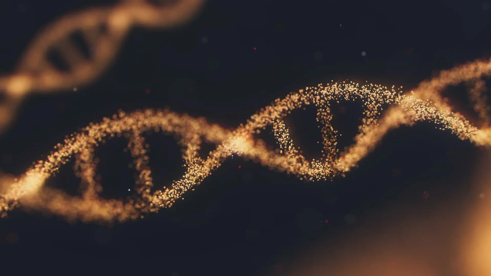 Illustration de l'article : Kits de test ADN en ligne : ludiques mais intrusifs