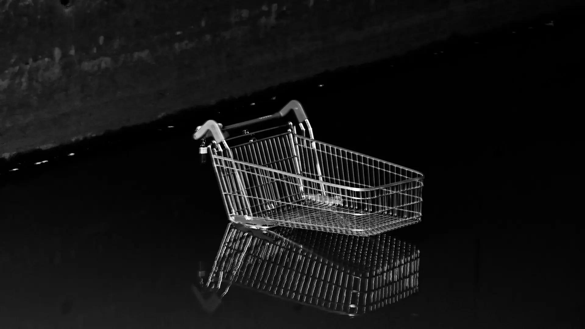 Perrine Tanguy : évitons de creuser l'impact écologique de l'e-commerce