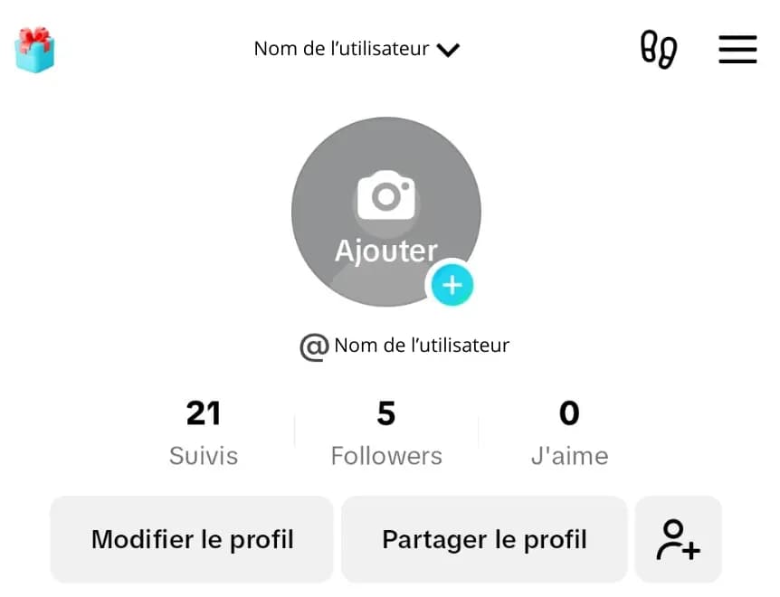 Profil utilisateur Tiktok