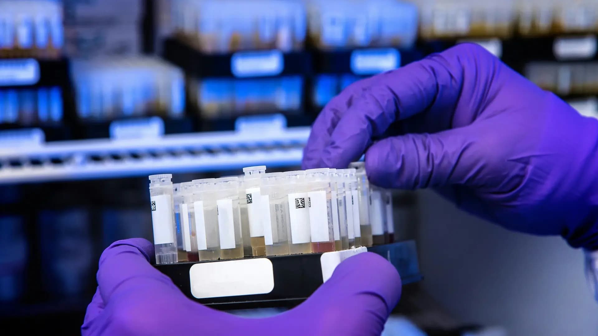 Illustration de la breve : Donald Trump s'engage à protéger les données biométriques des américains