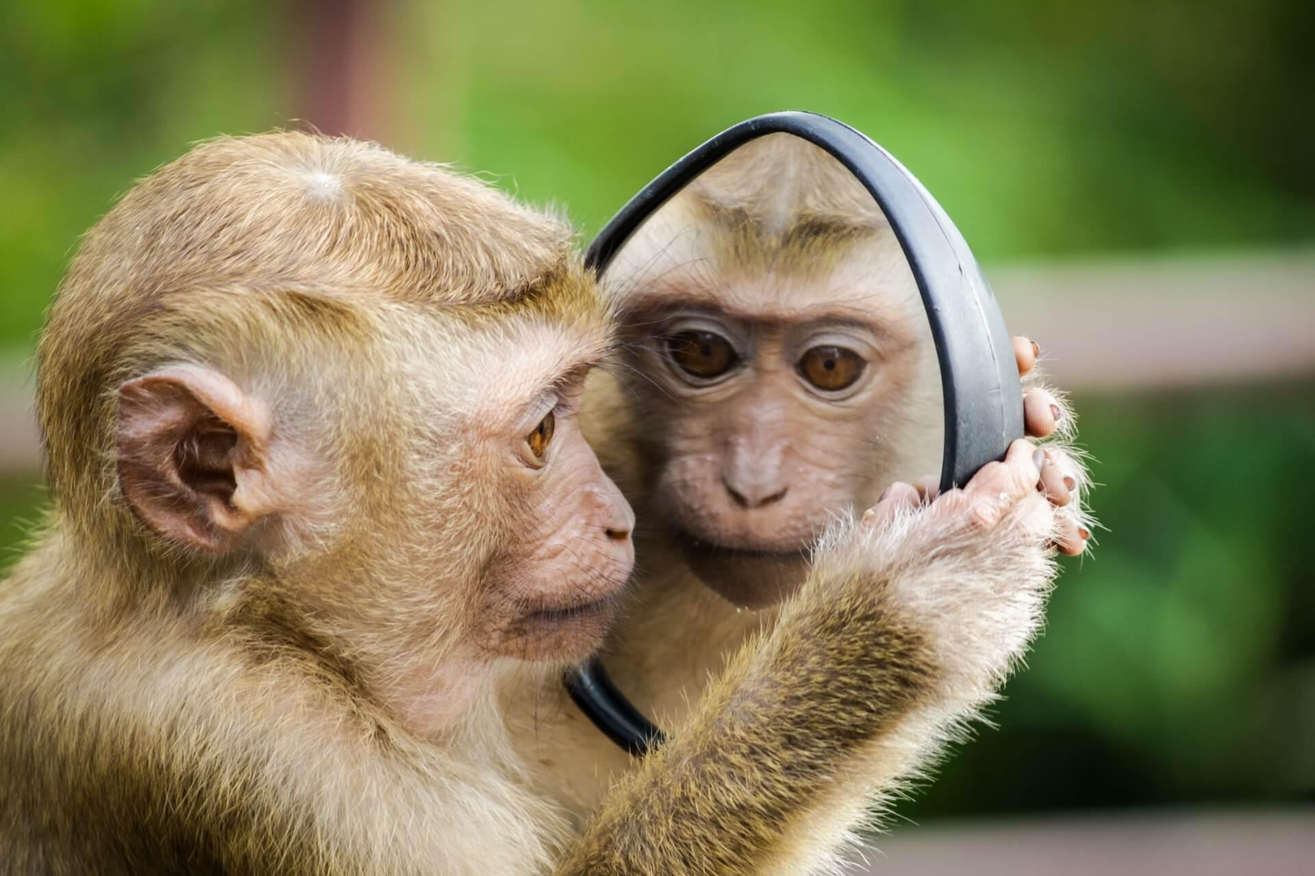 L’Intelligence Artificielle pour débutants – La reconnaissance faciale (5)