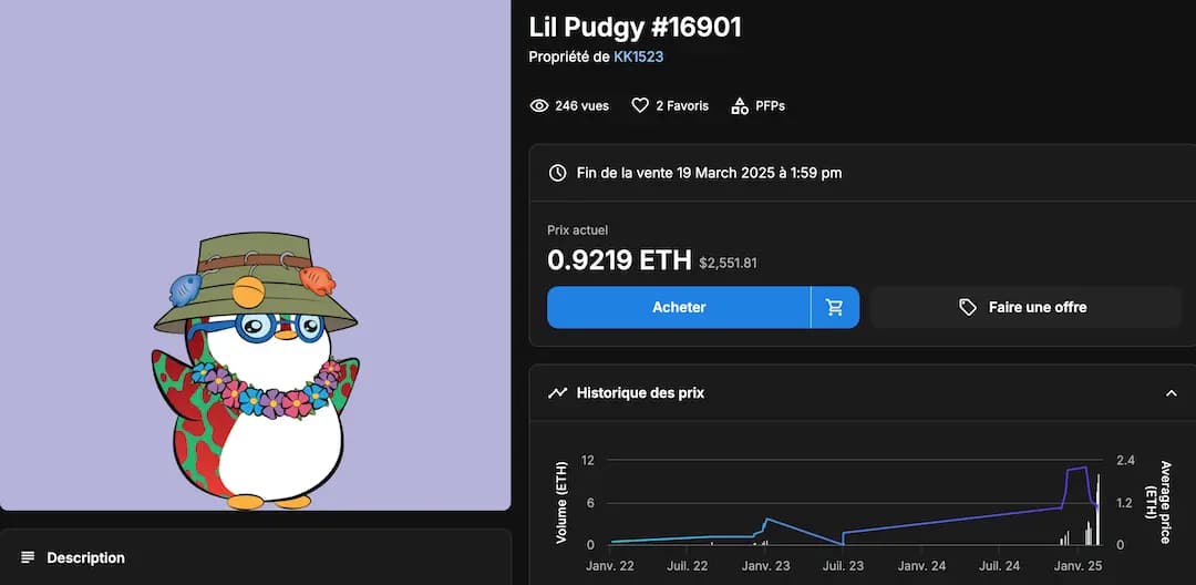 Un Nft représentant un pingouin dont le prix (au moment de la capture d'écran) est de 0.912 ETH (etherum) soit 2 551$ et l'enchère se termine 1 mois plus tard