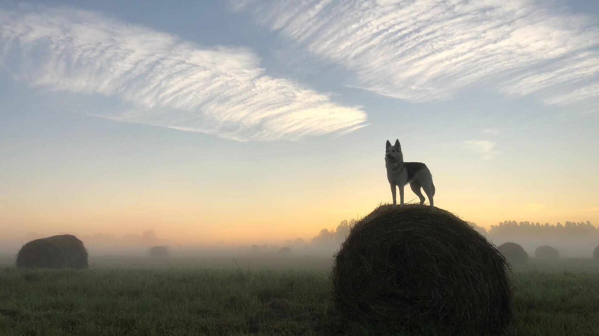 Trop de spams ? Voici comment pister les sites qui partagent votre mail à des tiers