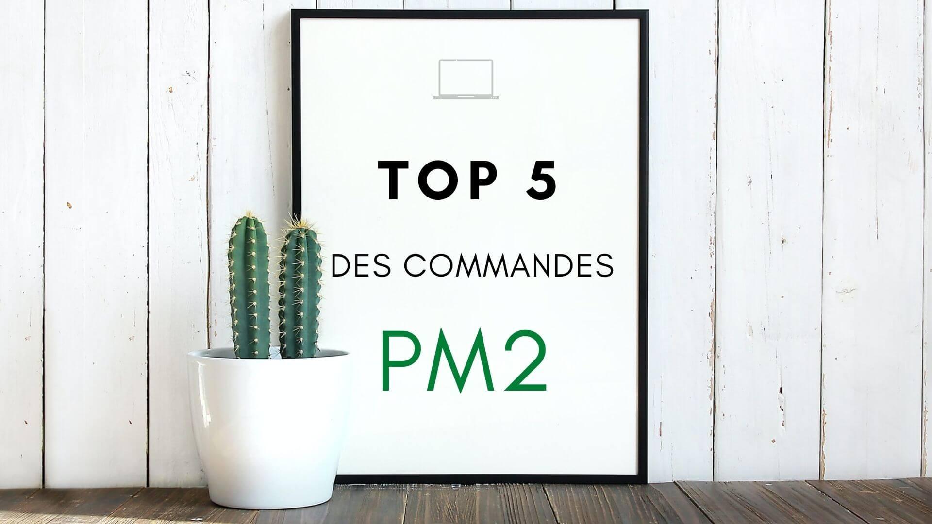PM2 – Top 5 des commandes les plus pratiques : monitoring, scalabilité, start/stop